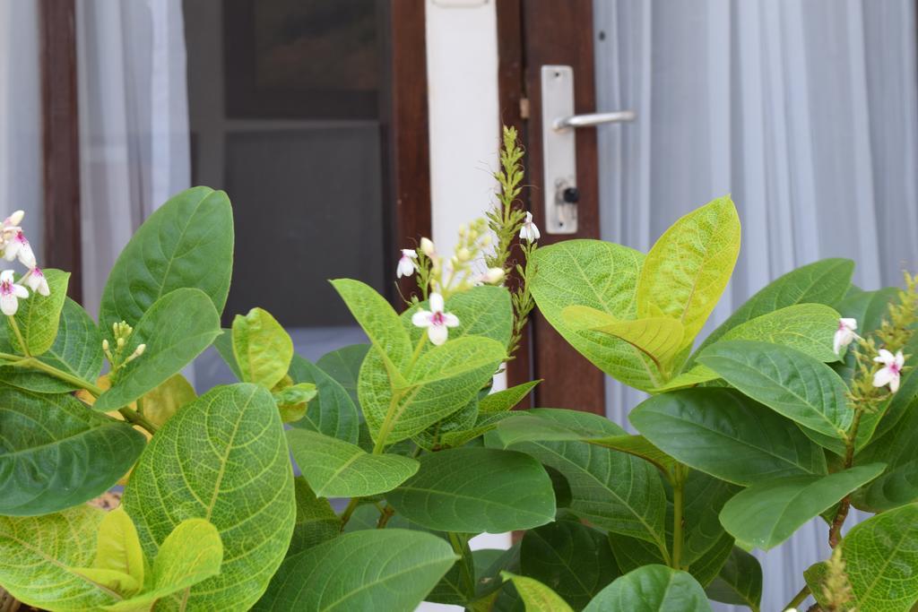 Gili Sands Hotel & Bar Gili Trawangan Rom bilde